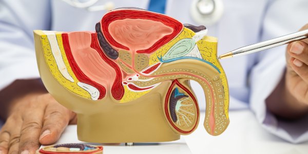 What Is a UTI