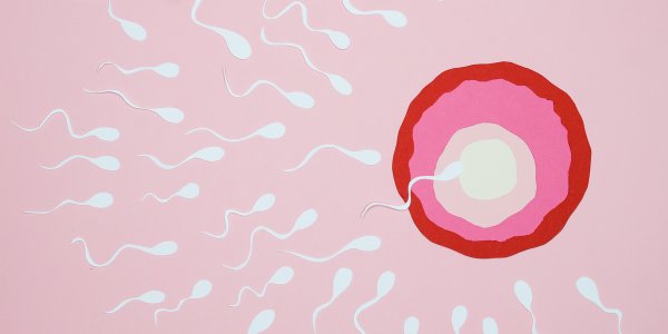 Can you get pregnant by premature ejaculation