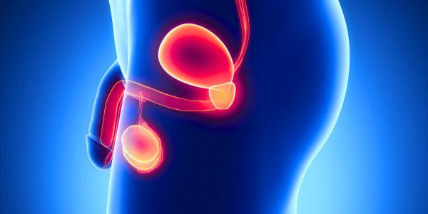 Prostate Stimulation, with a position that targets the prostate for enhanced pleasure, similar to the speedbump sex position for deeper sensations