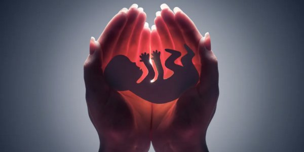 What is Abortion
