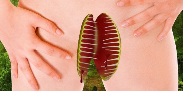 What is Vagina Dentata