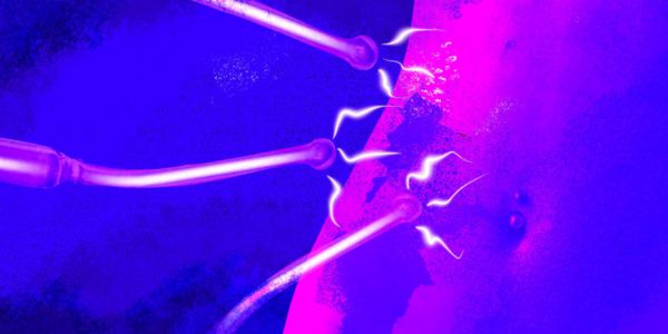 What is Electrical Play