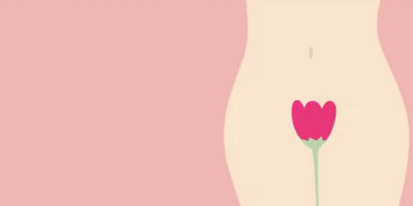 What is Vaginal Pouch