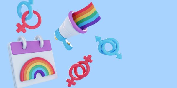 What is Gender and Sexual Minorities