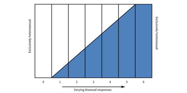 What is Klein Sexual Orientation Grid