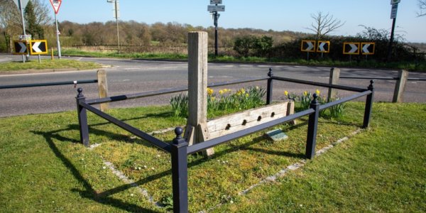 What is Whipping Post