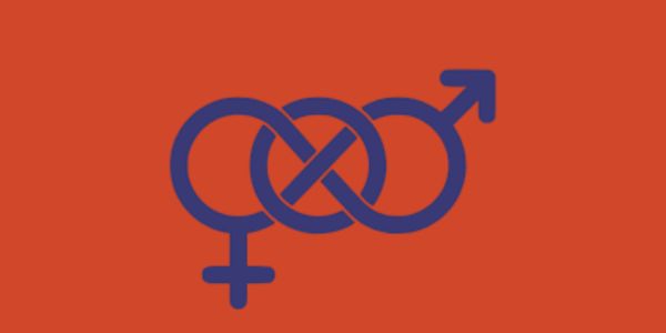 What is Gender Binary