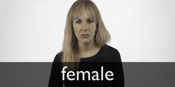 What is Female