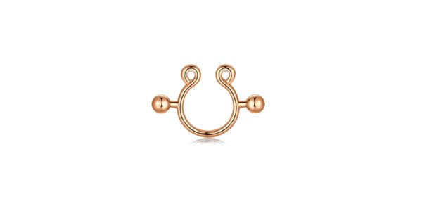 What is Nipple Rings