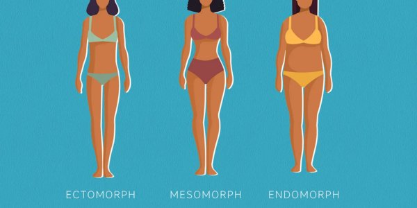 What is Height and Weight Proportional